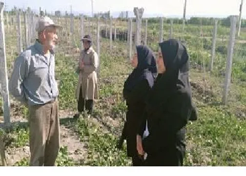 برگزاری دوره های آموزشی «مشاوره مزرعه محور»