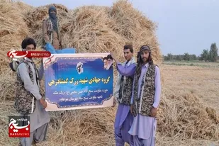 اعزام گروه جهادی جهت جمع&zwnj;آوری محصول گندم در بخش ریگ ملک