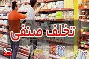 تشکیل ۷ پرونده تخلف برای تعدادی واحد صنفی و پلمپ ۵ واحد صنفی در استان