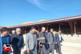 بازدید معاون امور تولیدات دامی جهاد کشاورزی از واحدهای تولیدی نیمه فعال نهاوند