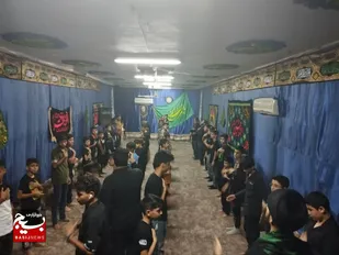 برگزاری همایش جهانی احلی من العسل در هندیجان