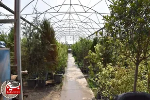 بهره برداری از ۱۷ پروژه کشاورزی در طرقبه شاندیز + عکس
