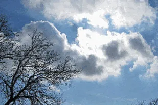 ادامه سرما و یخبندان شبانه در همه مناطق استان یزد
