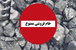 دولت دست از خام فروشی بردارد