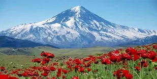 دو پلاک دماوند از اوقاف به سازمان جنگل&zwnj;ها برگشت/ دو پلاک دیگر در حال بررسی است