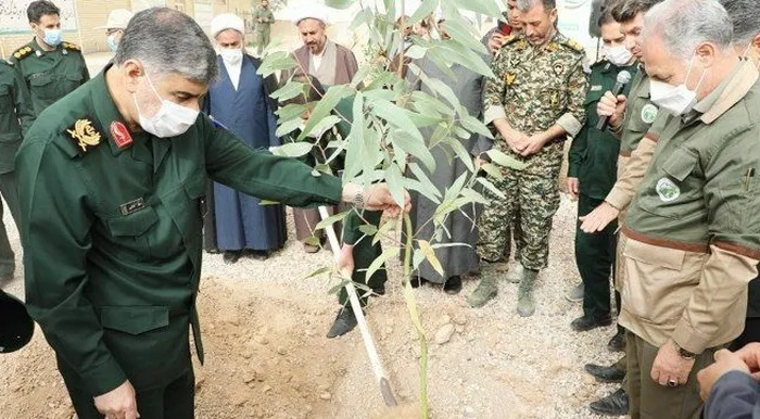 ۱۰۰ هزار اصله نهال در هفته منابع طبیعی کاشت می شود
