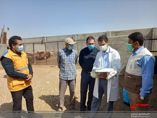 اردوی جهادی کلینیک سیار دامپزشکی در روستای رکن آباد+ تصاویر