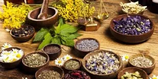 تولید۱۵۰۰ تن محصولات گیاهان دارویی در استان