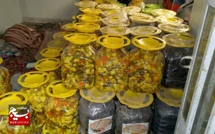 راه اندازی کارگاه ترشیجات وشوریجات در شوشتر