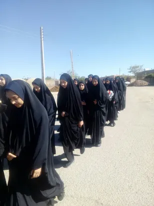 پیاده روی دانش آموزان دختر دشتخاک زرند برگزارگردید