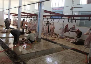 آب مورد نیاز کشتارگاه نیمه صنعتی دام کاشمر تامین شد