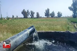 اشتغال&zwnj;زایی برای هزار خانواده محروم سیستان و بلوچستان