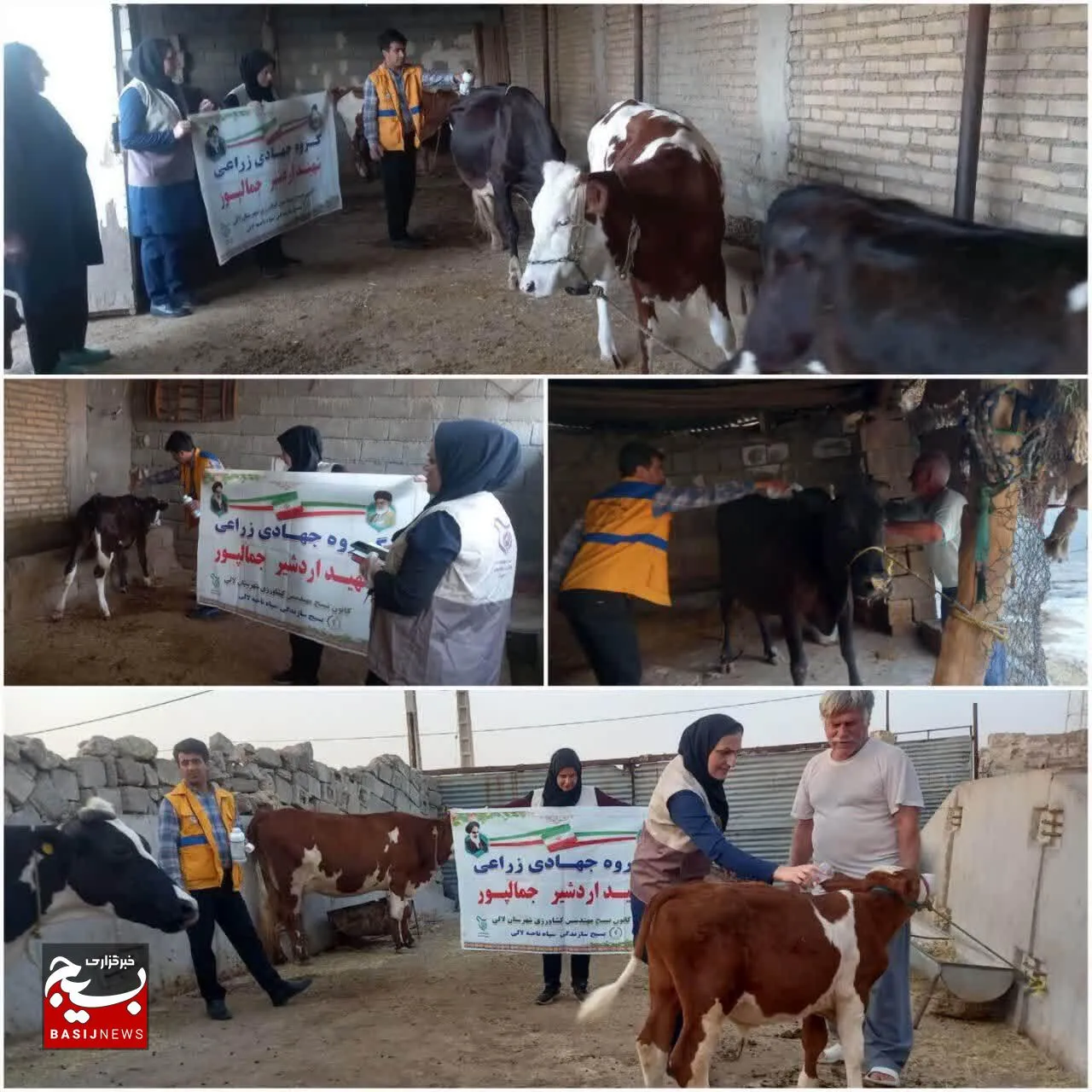 سم پاشی جایگاه های دام در مناطق روستایی لالی