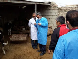 ارائه خدمات کلینیک سیار دامپزشکی در روستای کرند+