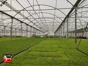 ۶۴ طرح کشاورزی در استان اردبیل آماده بهره&zwnj;برداری است