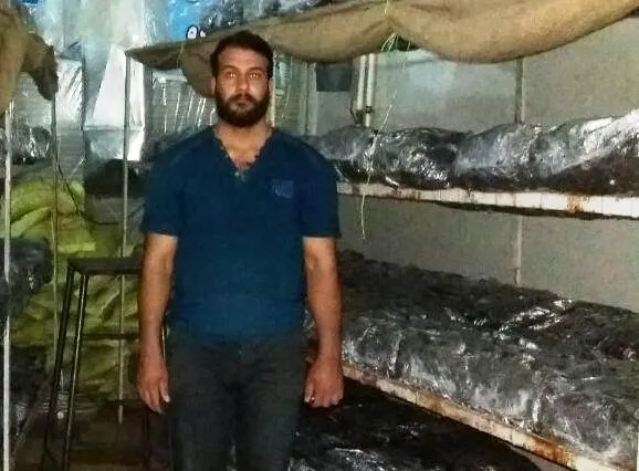 اشتغالزایی توسط کارآفرین نهاوندی با پرورش قارچ