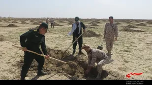 نهالکاری جهادگران چهارمحالی در اهواز