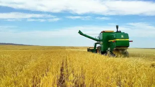 ذخیره بیش از ۶۴ هزار تن گندم دراستان سمنان