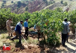 اشتغال ۱۷۰ نفر در بالکن یک مسجد روستا&zwnj;&zwnj;یی/زمین واقفان مساجد به باغ میوه&zwnj; مثمر تبدیل می شود