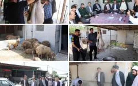 با همکاری بسیج مساجد و محلات قربانی کردن۲۲راس گوسفندو توزیع بین نیازمندان