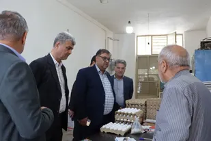 بازدید تیم گشت مشترک نظارت و تنظیم بازار از مراکز توزیع مرغ و تخم&zwnj;مرغ در دامغان