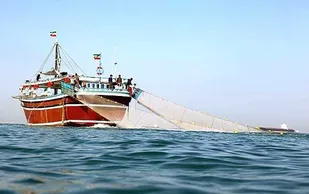 توقیف ۶ شناور صید کف روب در دیر و کنگان
