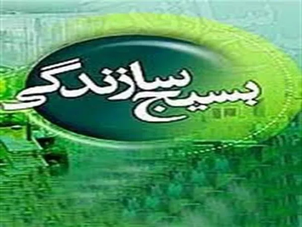 صفری: تسهیلات اقتصاد مقاومتی بسیج سازندگی به آينده اميدوارم کرد