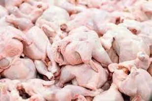 قطعه&zwnj;بندی مرغ فقط در مراکز دارای مجوز مجاز است