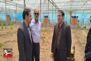 احداث گلخانه یک استراتژی برای مدیریت منابع آب است