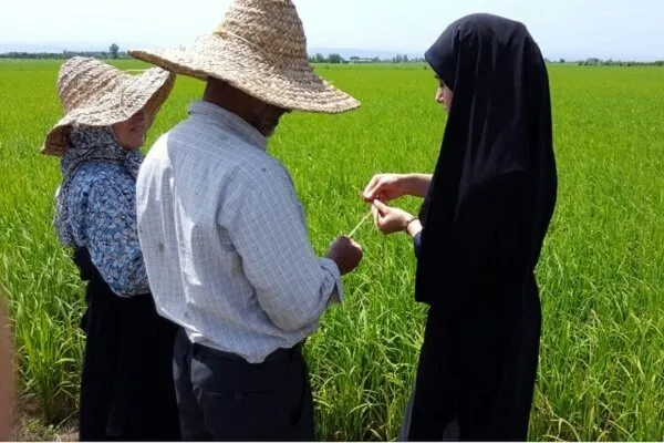 هدف اجرای طرح ملی بسیج همگام با کشاورزی افزایش بهره‌وری و افزایش تولید با دانش روز است