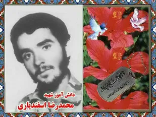 زندگینامه شهید &laquo;محمدرضا اسفندیاری&raquo;