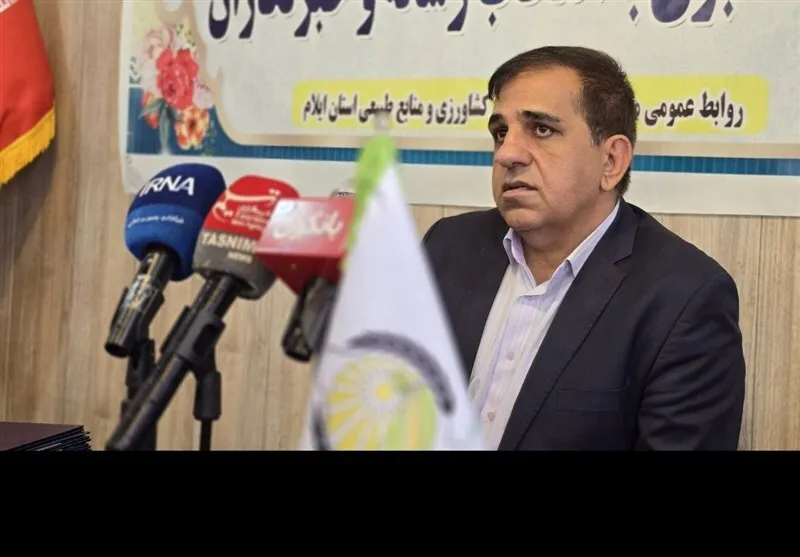 ایلام پیشرو در تولید بذرهای استراتژیک/ تولید ۹۸ درصد بذرهای اصلاح شده در استان