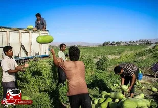 اعتصاب کامیون داران در میداوود باغملک پس از ۱۰ روز شکسته شد