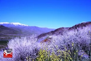 منطقه گردشگری تنگ غرقاب/تصاویر