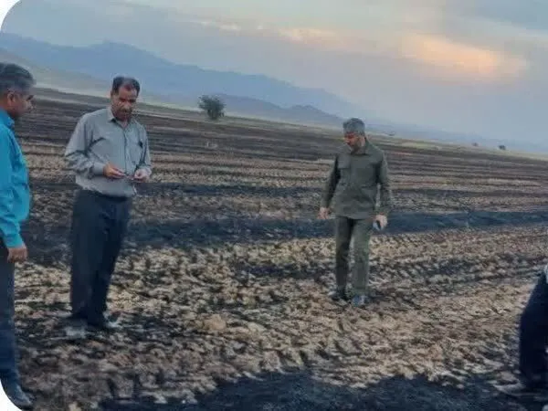 مهار آتش‌سوزی مزارع کشاورزی در شهرستان آبدانان