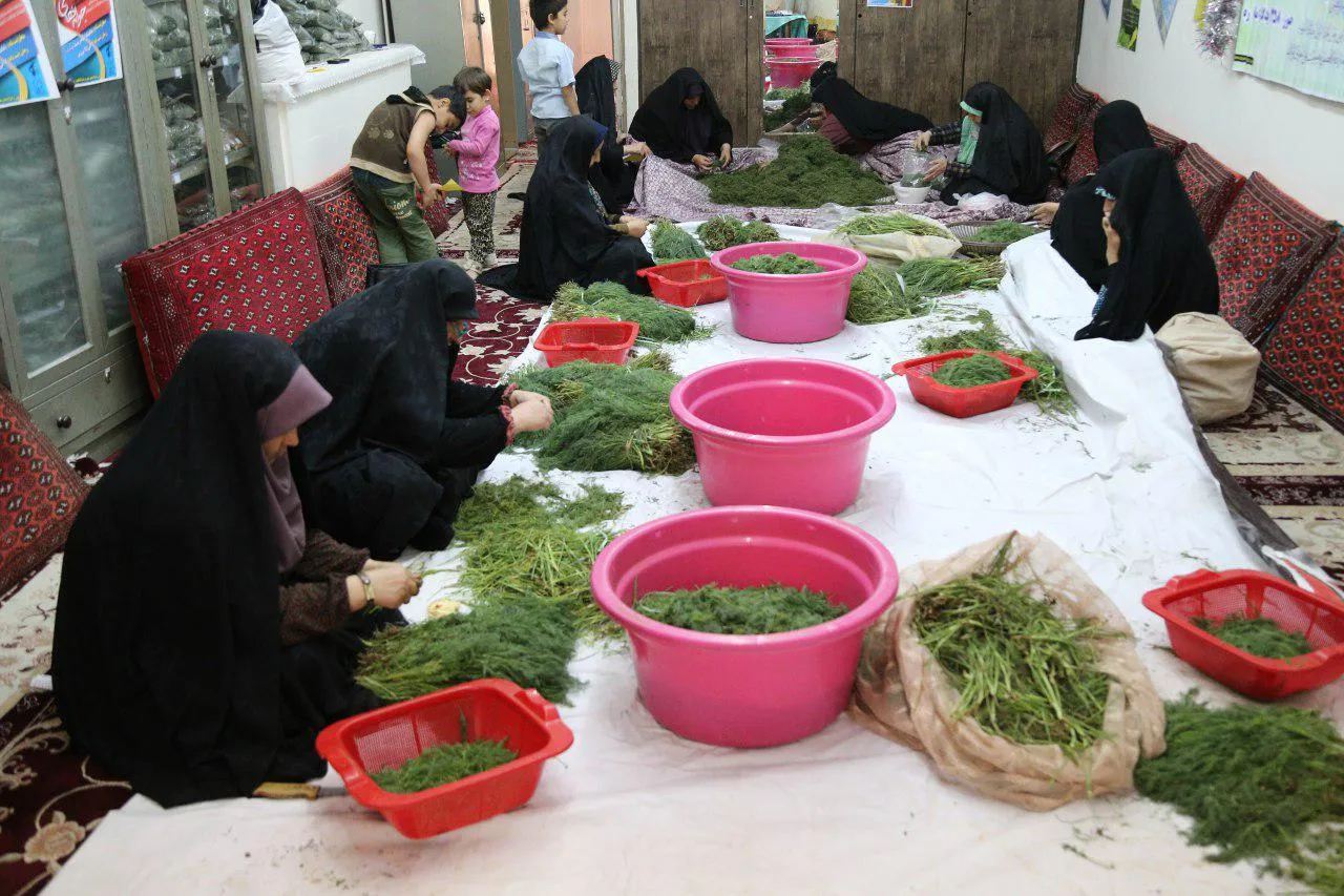 بانوان