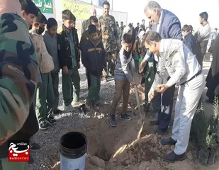 &nbsp;نهال&zwnj;کاری در روستای شمس&zwnj;آباد مه ولات انجام شد+عکس