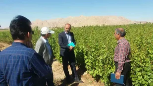 بازدید رئیس موسسه تحقیقات علوم باغبانی کشور از مرکز تحقیقات کشاورزی شاهرود