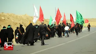 خدمت ۳۰ هزار خادم به ۶۲۴ هزار زائر پیاده امام رضا(ع) در دهه پایانی صفر