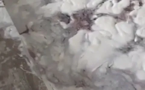 کف کردن حوضچه های گاز co به دلیل تزریق گاز سمی به تیلاپیا