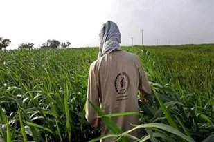 طرح بسیج &laquo;همگام با کشاورز&raquo; در اراک آغاز شد