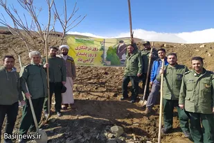 کاشت ۵۰ اصله نهال مثمر در اردوگاه شهید شهبازی همدان