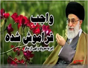 احیای امر به معروف در جامعه موجب صیانت از ارزش هاست