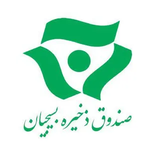 پیام تبریک مدیرعامل صندوق ذخیره بسیجیان بمناسبت هفته بسیج