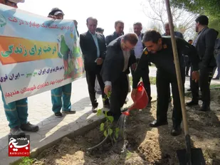 کاشت بیش از ۱۰ هزار نهال در هندیجان&nbsp;