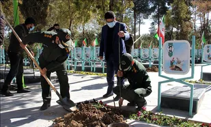 درختی به یاد سروقامتان جاودانه تاریخ