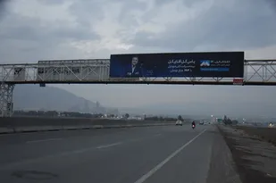 گل های &laquo;دایی&raquo;  فضای شهر را آلوده می کند