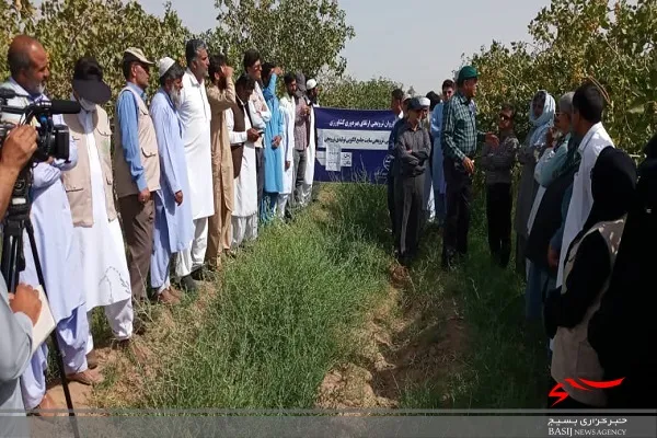 حرکت دومین کاروان ترویجی ارتقای بهره وری کشاورزی در سیستان وبلوچستان