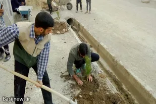 غرس نهال به نیابت از شهدا در روستای توانه نهاوند