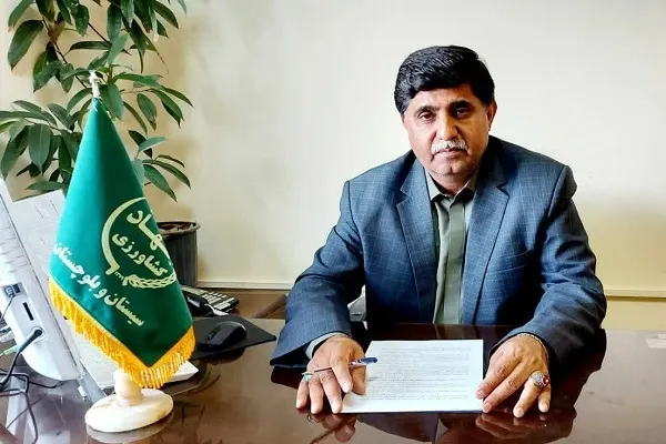 برداشت کنجد از قطب تولید کنجد در سیستان و بلوچستان